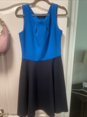 [The Limited] Sleeveless Blue and Navy Fit-and-Flare Dress